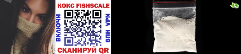 Кокаин FishScale  где купить наркоту  Сегежа 