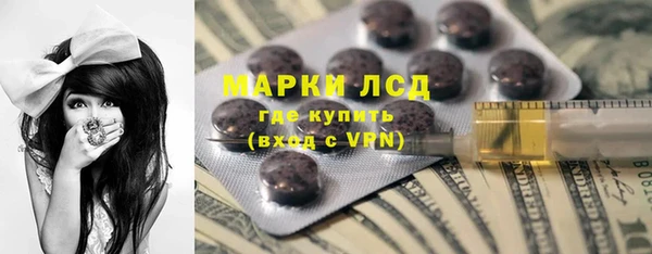 индика Беломорск