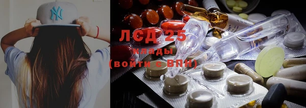 индика Беломорск
