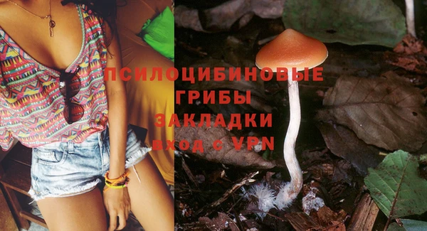 индика Беломорск