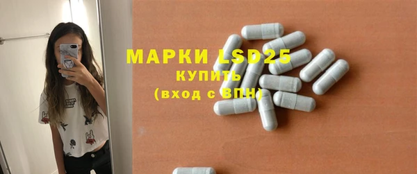 индика Беломорск