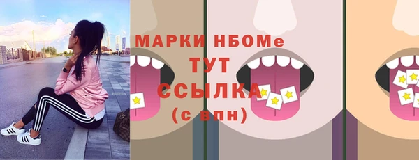 индика Беломорск