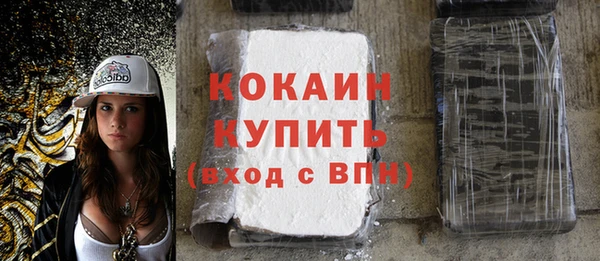 индика Беломорск