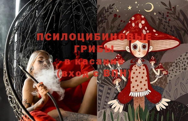 соль курить ск Белокуриха