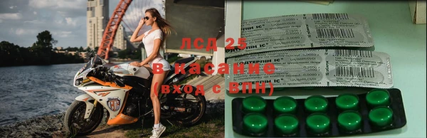 индика Беломорск