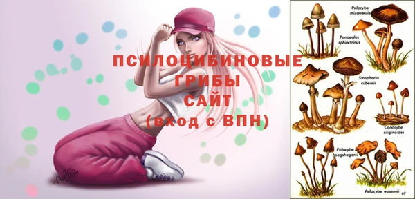 индика Беломорск