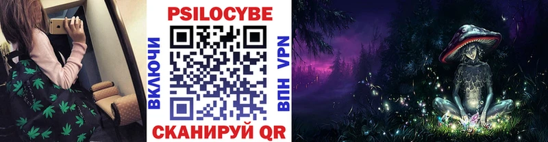 Галлюциногенные грибы MAGIC MUSHROOMS  блэк спрут зеркало  Сегежа 